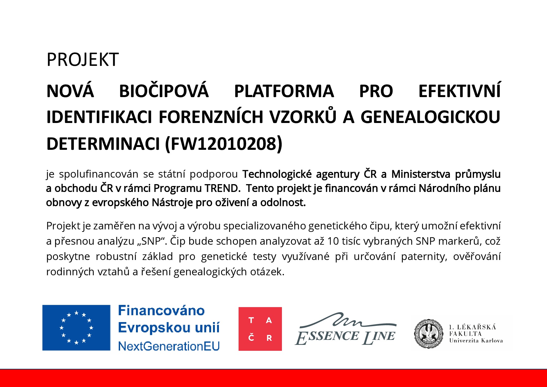 IDENT_publicita web.pdf